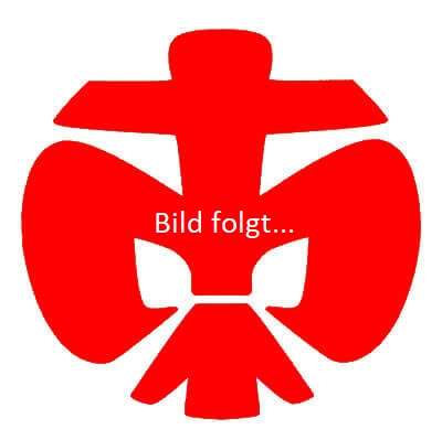 DPSGLilieRover 1